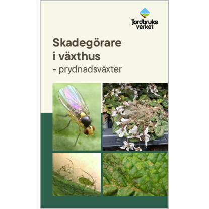Omslags bild fr Skadegrare i vxthus - prydnadsvxter