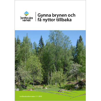 Omslags bild fr Gynna brynen och f nyttor tillbaka