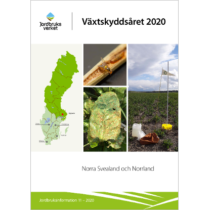 Omslags bild fr Vxtskyddsret 2020, Norra Svealand och Norrland