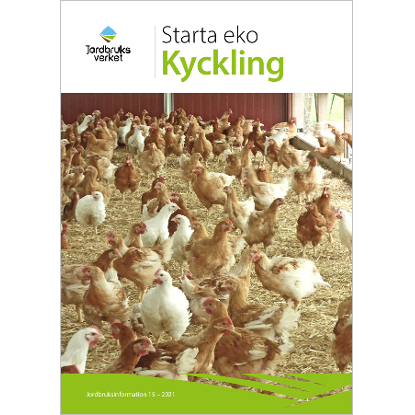 Omslags bild fr Starta eko - kyckling