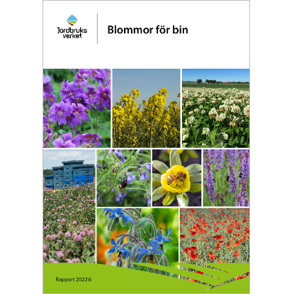 Omslags bild fr Blommor fr bin