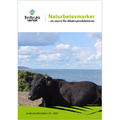 Omslags bild fr Naturbetesmarker - en resurs fr dikalvproduktionen