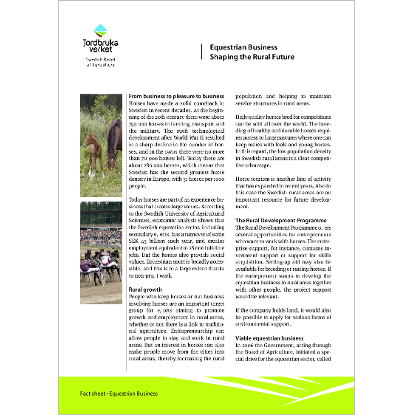 Equestrian Business Shaping the Rural Future