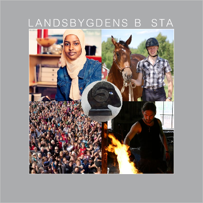 Omslags bild fr Landsbygdens bsta 2011