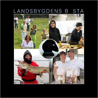 Omslags bild fr Landsbygdens bsta 2013