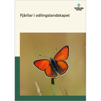 Omslags bild fr Fjrilar i odlingslandskapet