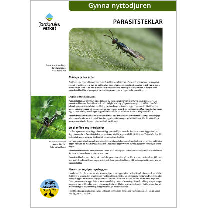 Omslags bild fr Parasitsteklar, gynna nyttodjuren