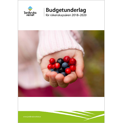 Omslags bild fr Budgetunderlag fr rkenskapsren 2018-2020