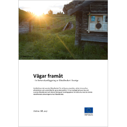 Vgar framt