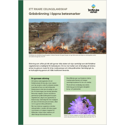 Omslags bild f�r Gr�sbr�nning i �ppna betesmarker