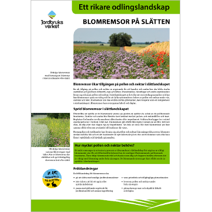 Omslags bild fr Blomremsor p sltten