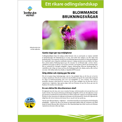 Omslags bild fr Blommande brukningsvgar