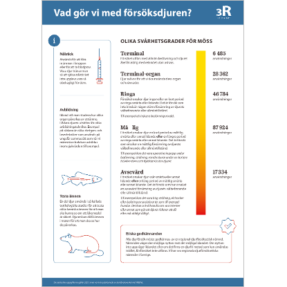 Omslags bild fr Vad gr vi med frsksdjuren?