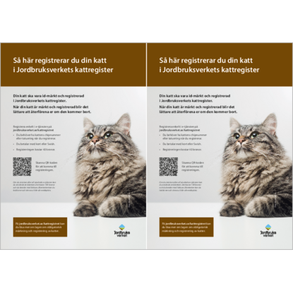 Omslags bild f�r S� h�r registrerar du din katt i Jordbruksverkets kattregister