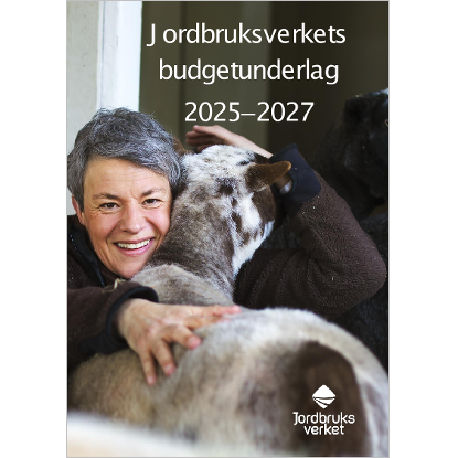 Omslags bild fr Budgetunderlag fr rkenskapsren 2025–2027