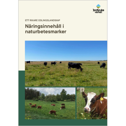 Omslags bild fr Nringsinnehll i naturbetesmarker