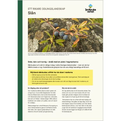 Omslags bild f�r Sl�n