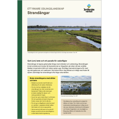 Omslags bild f�r Traditionella st�ngseltyper