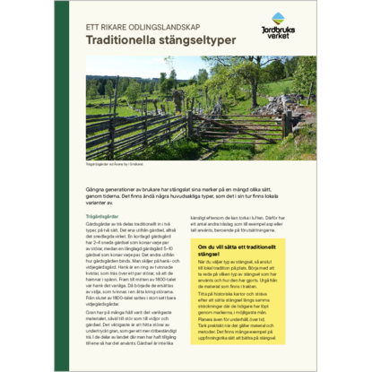 Omslags bild f�r Traditionella st�ngseltyper