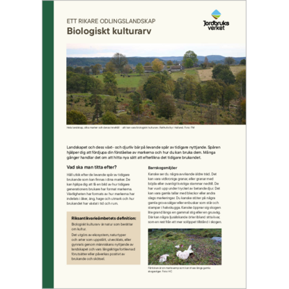 Omslags bild för Biologiskt kulturarv