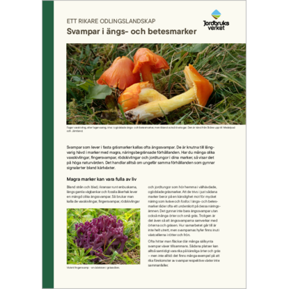 Omslags bild f�r Svampar i �ngs- och betesmarker