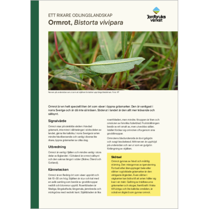 Omslags bild f�r Ormrot, Bistorta vivipara