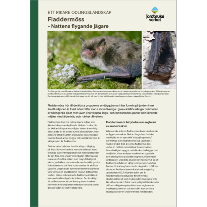 Omslags bild f�r Fladderm�ss 