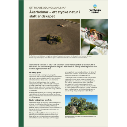Omslags bild för Åkerholmar - ett stycke natur i slättlandskapet