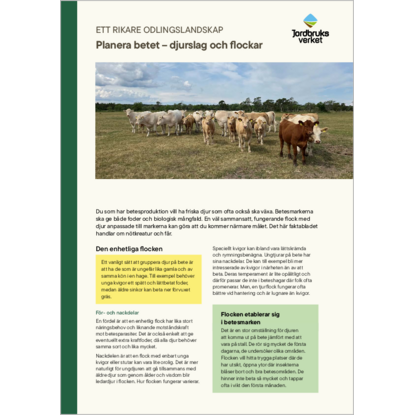 Omslags bild för Planera betet - djurslag och flockar