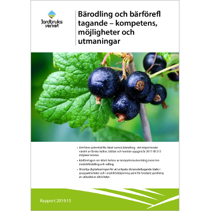 Omslags bild fr Brodling och brfretagande - kompetens, mjligheter och utmaningar