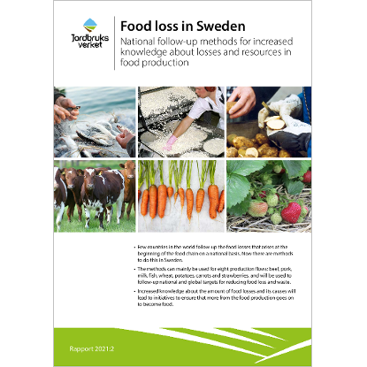 Omslags bild fr Food loss in Sweden